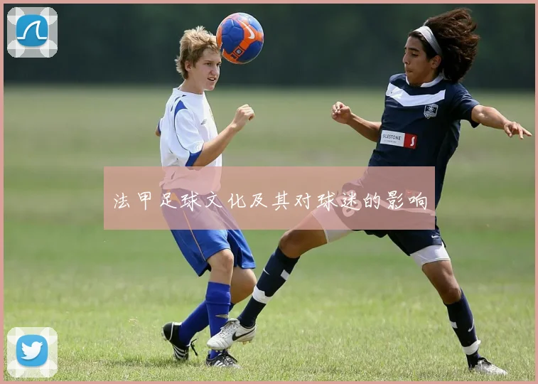 法甲足球文化及其对球迷的影响